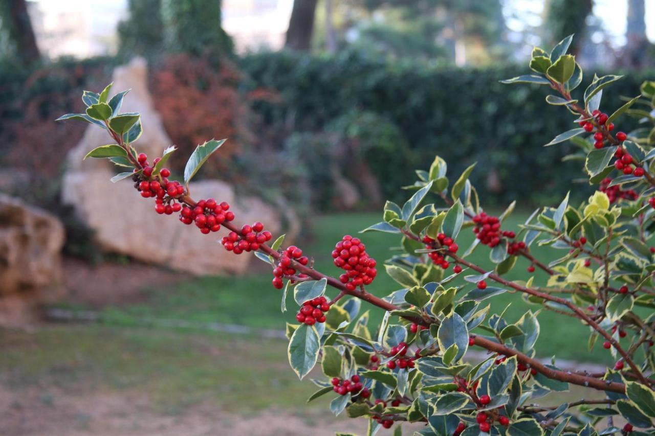 Espluga de Francolí Hostal Del Senglar מראה חיצוני תמונה